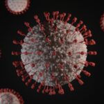 15 Quick Viruses Facts - Science - News