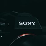 15 Enlightening Sony Facts - Entertainment - News