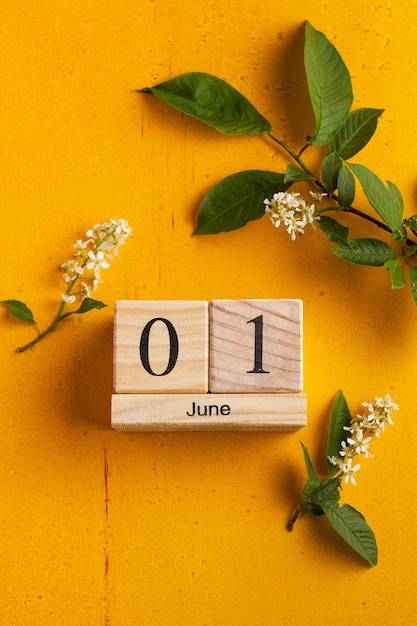 Title: 13 Fascinating Facts about June That Will Surprise and Delight You